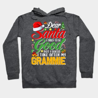 Dear Santa I Tried To Be Good But I Take After My Grammie Hoodie